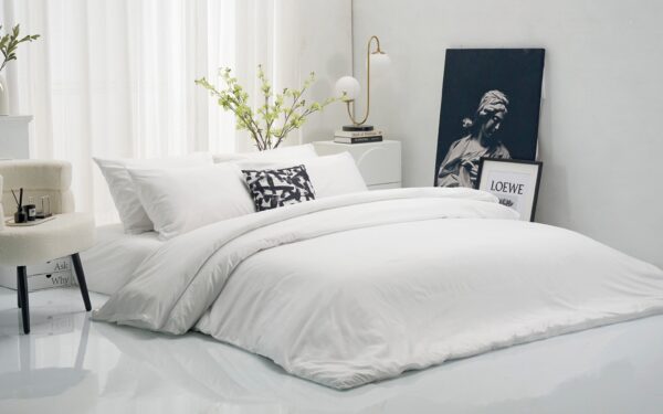 Bộ chăn ga gối DLWHITE